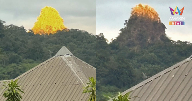 ไขปริศนา 