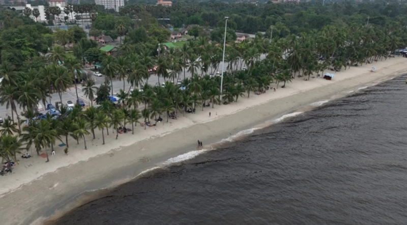 ไขข้อสงสัย ทะเลบางแสน ปีนี้ไม่เป็นสีเขียว แต่กลายเป็นสีดำ