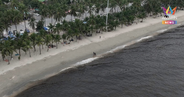 ไขข้อสงสัย ทะเลบางแสน ปีนี้ไม่เป็นสีเขียว แต่กลายเป็นสีดำ