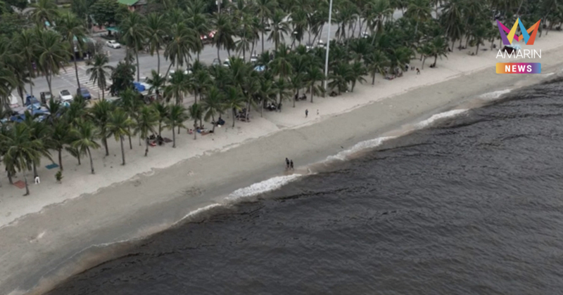 ไขข้อสงสัย ทะเลบางแสน ปีนี้ไม่เป็นสีเขียว แต่กลายเป็นสีดำ