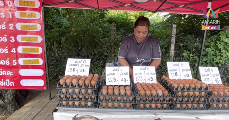 เช็กตลาด! ไข่ไก่ยุคนายกฯหนูราคาถูกลง ยังไม่ครึ่งเดือนปรับลด 3 ครั้งติด