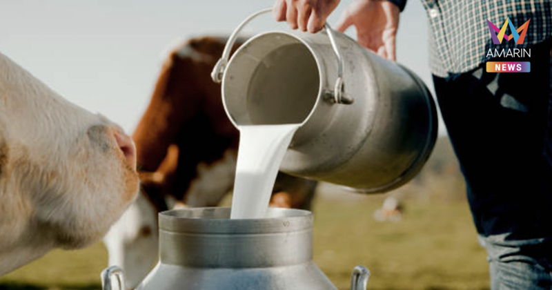 กรมปศุสัตว์ การันตี น้ำนมโคสดไทยปลอดภัยทุกหยด รับรองมาตรฐานทุกขั้นตอน