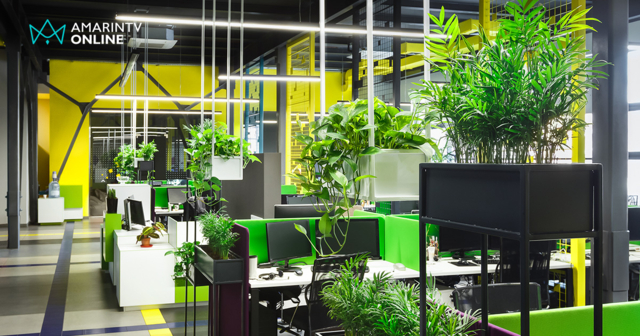 ห้องทำงานที่มีต้นไม้เยอะๆช่วยลดเครียดหรือยิ่งทำให้เครียด ผลศึกษาล่าสุด