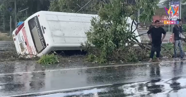 ฝนตกถนนลื่น รถทัวร์มินิบัส ชนต้นไม้ ตกร่องกลางถนน เจ็บ 14 ราย