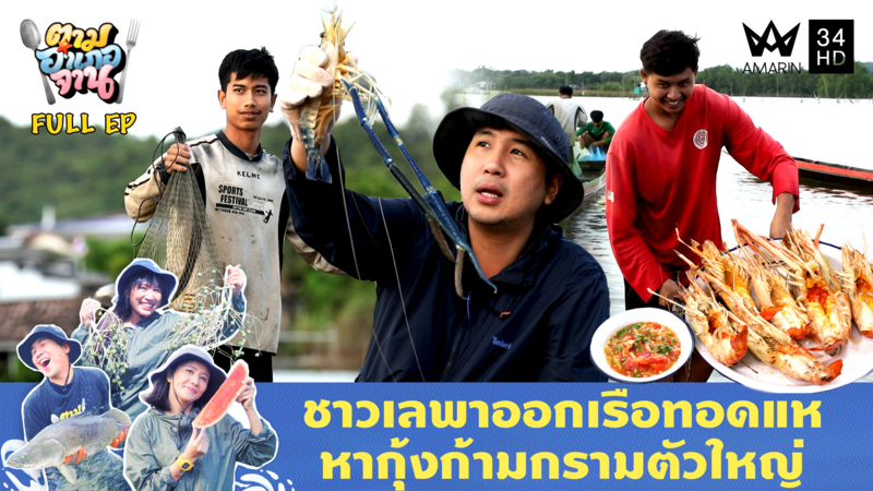 ทอดแหกุ้งก้ามกราม อ.ปากพะยูน จ.พัทลุ