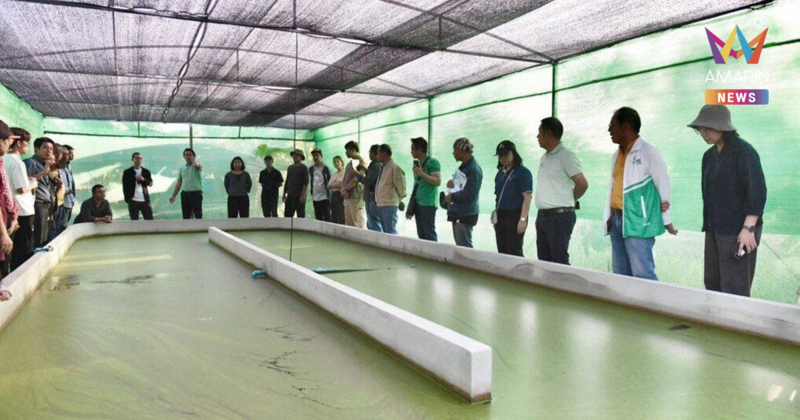 มกอช. เดินหน้าหารือ MAFF วางกรอบความร่วมมือ JTEPA