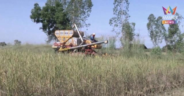 ชาวนาอ่วม! ข้าวเปลือก กก.ละ 6 บาท ถูกกว่าบะหมี่กึ่งสำเร็จรูป