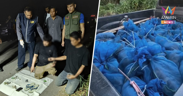 ไล่ล่าระทึก! แก๊งค้าสัตว์ป่า ขนลิงแสม 81 ตัวลอบข้ามแดน ทิ้งรถโดดน้ำหนี