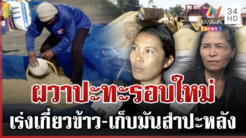 ชายแดนเร่งเกี่ยวข้าว ฝากแนวหน้าหากต้องรบไม่ต้องห่วง ขอจบเขมรแม้จะเจ็บ