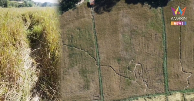 ฮือฮา!พบรอยพญานาค ชาวบ้านเชื่อเสด็จขึ้นจากเมืองบาดาล