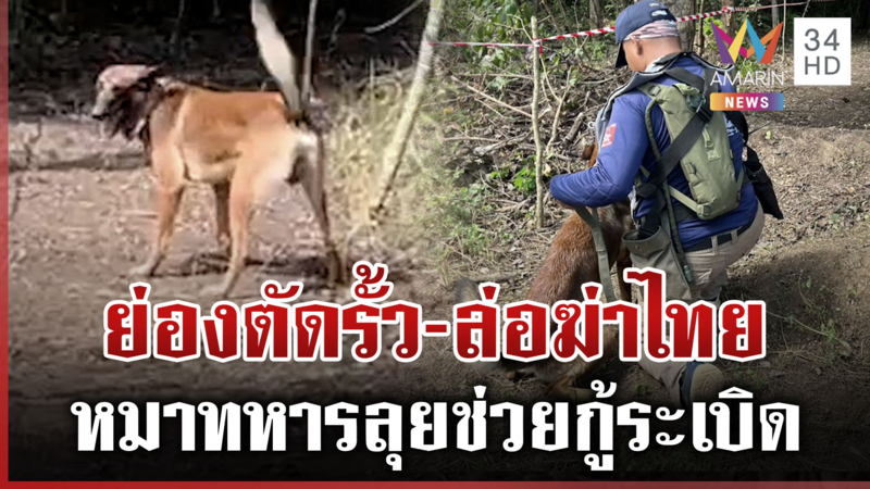 แฉเขมรไร้มนุษยธรรมลวงไทยเข้าทุ่งสังหาร เปิดตัวฮีโร 4 ขาลุยกู้ทุ่นบึ้ม