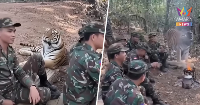 ทหารเขมรใช้ภาพ AI หลอกคนชาติเดียวกัน! นั่งคู่เสือ อ้างเป็นมิตรแนวหน้า