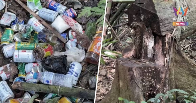 ทหารพราน พบ เพิงพักต้องสงสัยในป่าชายแดน 5 จุด ร่องรอยการตัดไม้จำนวนมาก