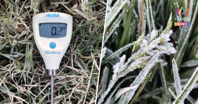 อินทนนท์ไม่แผ่ว! เหมยขาบโผล่วันที่ 2 อุณหภูมิบนยอดหญ้าวัดได้ 0.2 องศาฯ