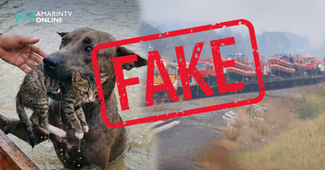 ปรากฏการณ์ใหม่ในยุควิกฤต ทำไม ภาพปลอมจาก AI ถึงระบาดทุกครั้งที่น้ำท่วม