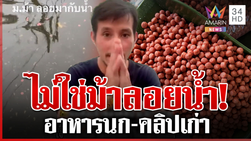 ม.ม้าลอยน้ำ! ไม่ใช่ของเขต 8 หนุ่มโผล่เคลียร์ชัดอาหารนก