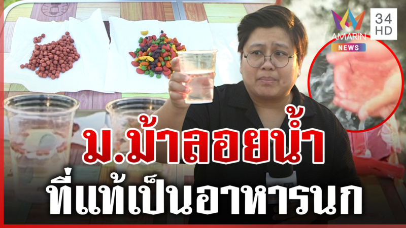 ทุบโต๊ะข่าวพิสูจน์ ม.ม้าลอยน้ำ เจ้าของคลิปขอโทษทำให้เข้าใจผิด