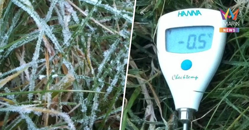 สุดฟิน! ยอดดอยอินทนนท์หนาวจัด เหมยขาบ ติดต่อกันวันที่ 7