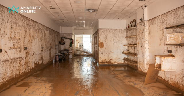 วิธีกำจัดเชื้อราในบ้านที่ถูกน้ำท่วม อันตรายที่ไม่ควรมองข้ามหลังน้ำลด