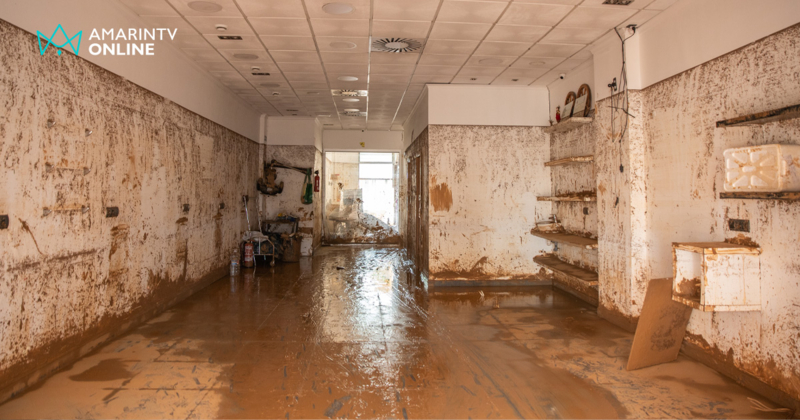 วิธีกำจัดเชื้อราในบ้านที่ถูกน้ำท่วม อันตรายที่ไม่ควรมองข้ามหลังน้ำลด