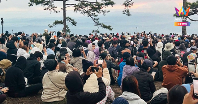 ภูกระดึงแทบแตก นักท่องเที่ยวกว่า 4.2 พันคน แห่พิชิตยอดภูฯ