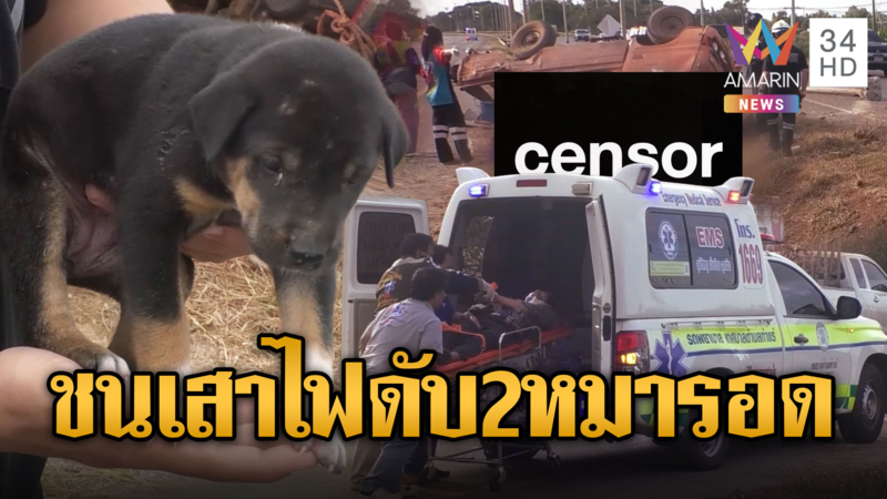 รถบรรทุกมรณะชนเสาไฟฟ้าตาย 2 เจ็บอื้อ แต่หมารอด