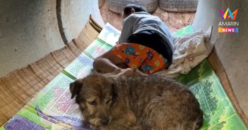 เขมรยิงปืนใหญ่ถล่มชายแดนสุรินทร์ หนักสุด ตาควาย-ช่องกราง-ตาเมือนธม