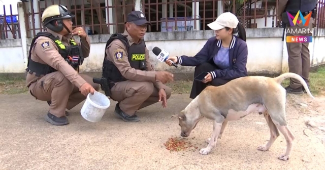 ตำรวจสภ.พนมดงรัก ตระเวนนำอาหารเม็ดให้สัตว์เลี้ยงในชุมชน