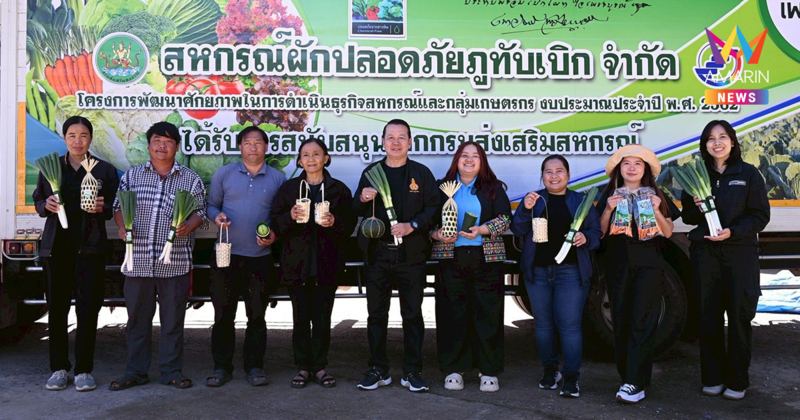 สหกรณ์ภูมิใจผักปลอดภัยภูทับเบิก มาตรฐานตลาดโมเดิร์นเทรด