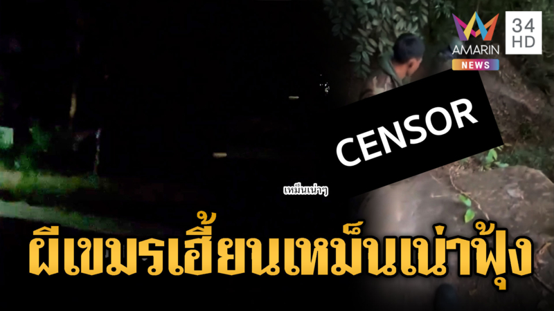 ศพทหารเขมรเริ่มเหม็นเน่าฟุ้งปกคลุมชายแดน-หมาหอนตลอดคืน