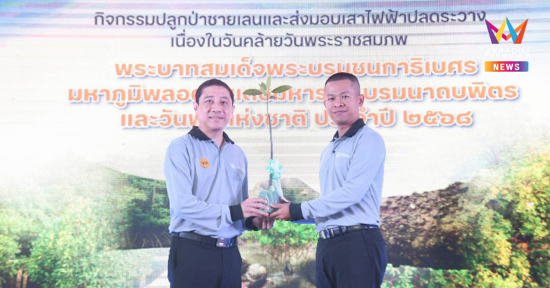 MEA มอบเสาไฟฟ้าปลดระวาง 1,020 ต้น หนุน “MEA's Model" ปักแนวป้องกันชายฝั่ง พร้อมรวมพลังปลูกป่าชายเลนส่งมอบต้นโกงกาง 1,100 ต้น