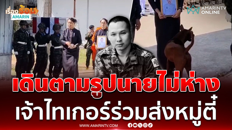 เดินตามรูปนายไม่ห่าง "เจ้าไทเกอร์" ร่วมส่งร่าง "หมู่ตี๋" กลับบ้าน