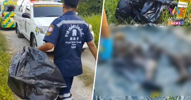 พบศพปริศนา! ถูกทิ้งในดงป่าย่านคู้บอน