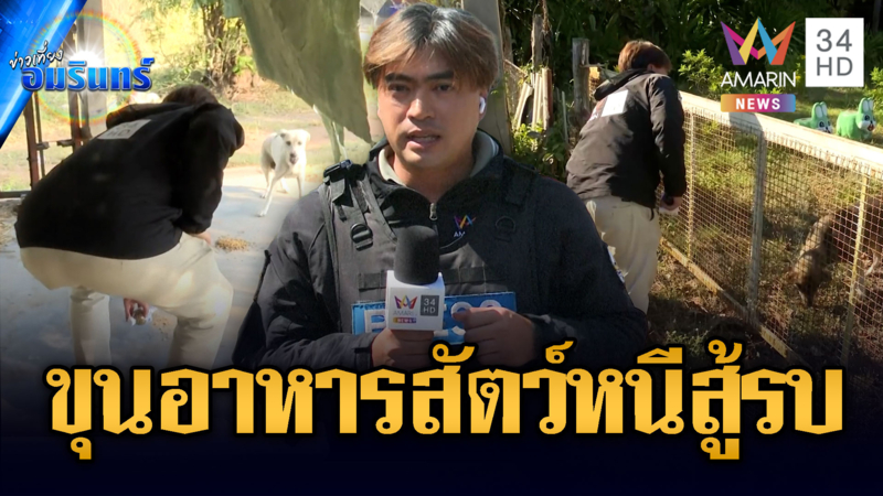 นักข่าวอมรินทร์อาสาช่วยชาวบ้าน ให้อาหารสัตว์เลี้ยงพื้นที่อพยพ