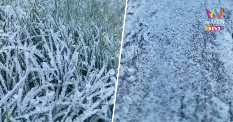 เชียงใหม่หนาวมาก! อินทนนท์ -3.5 องศาฯ เหมยขาบขาวโพลน