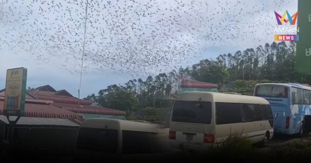 ลางร้ายเขมร? อีแร้ง-อีกาบินว่อนหลังชายแดนปะทะเดือดเข้าวันที่ 13