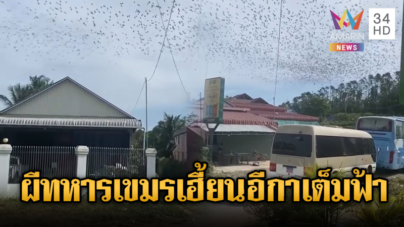 ผีทหารเขมรเฮี้ยน! ฝูงอีกาบินว่อนเต็มท้องฟ้า กลิ่นซากศพเหม็นฟุ้งชายแดน