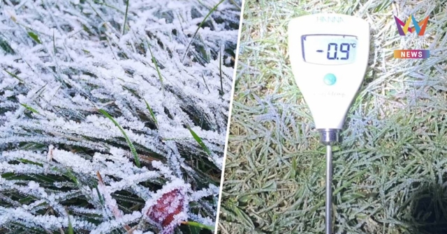 ดอยอินทนนท์หนาวยะเยือก ยอดหญ้า -0.9 องศาฯ