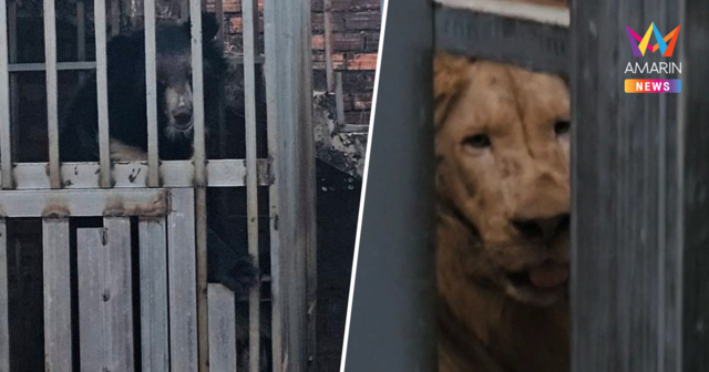 นาวิกฯ เจอ 