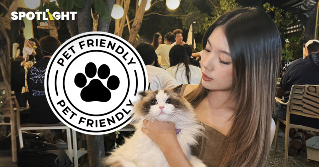 ธุรกิจPet Friendlyปรับตัวอย่างไร? เมื่อลูกคุณไม่ได้น่ารักสําหรับทุกคน