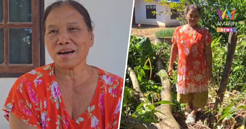 เกลียดยันต้นไม้ ป้าฟันเอง มะม่วงแก้วขมิ้นสายพันธุ์เขมร แค้นทำร้ายคนไทย