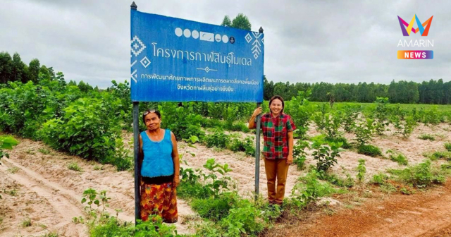 สหกรณ์การเกษตรบ้านดงกล้วย จ.กาฬสินธุ์ ส่งเสริมเลี้ยงจิ้งหรีดส่งออก