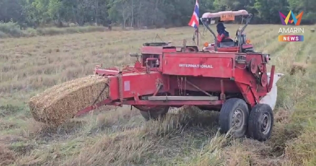 อัดไปผวาไป ชาวนาชายแดนอัดฟางก้อน ได้ยินเสียงปืนใหญ่ตลอดเวลา