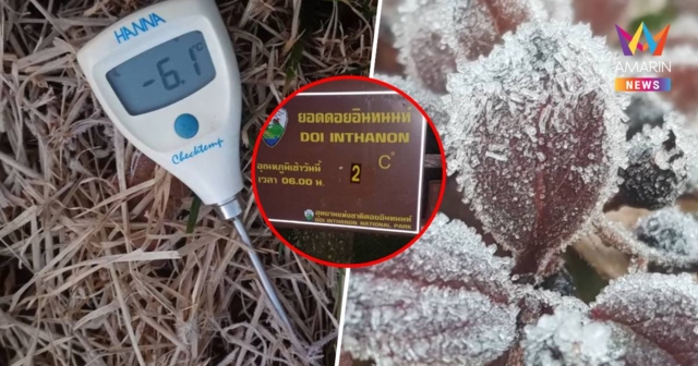 ดอยอินทนนท์ อุณหภูมิลดฮวบ เหลือ 2 องศาฯ ทุบสถิติของฤดูหนาวปีนี้