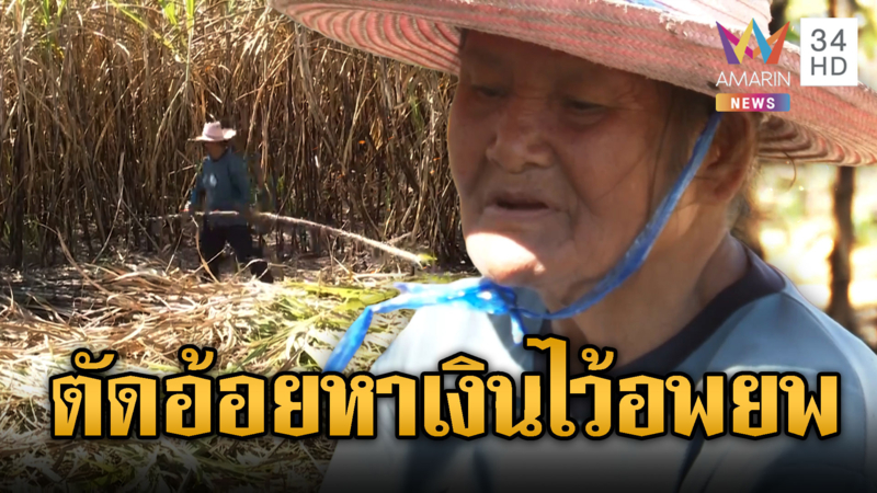 ยาย 68 รับจ้างตัดอ้อย หาเงินไว้อพยพรอบ 3