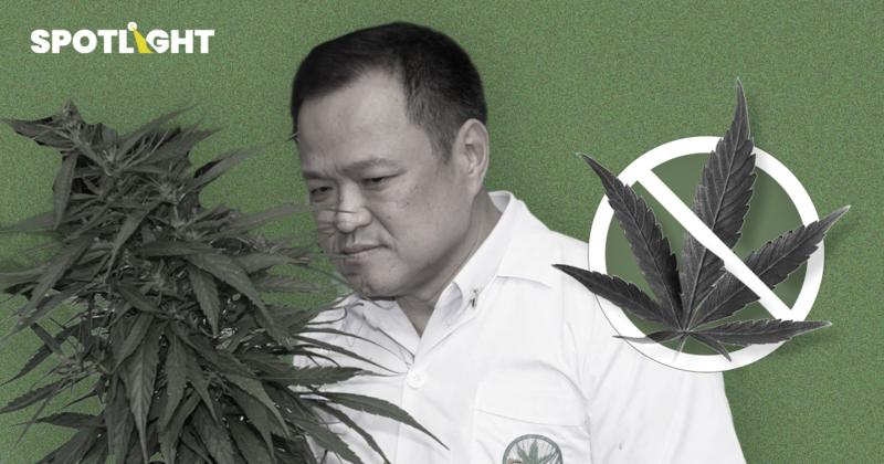 ปี 69 อวสานร้านกัญชา จ่อปิด 7,000 แห่ง หลัง รบ. จำกัดใช้กับการแพทย์