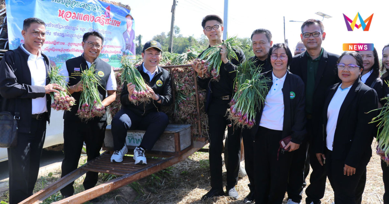 "หอมแดง"  ของดีศรีสะเกษ การันตีด้วยสินค้าจีไอ (GI)