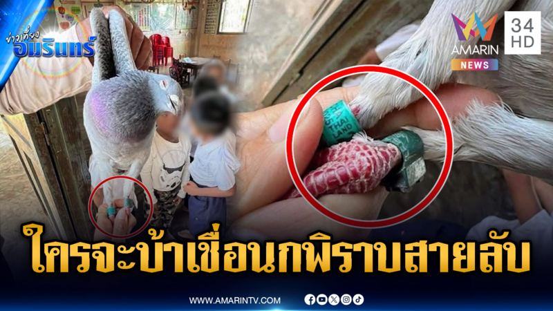 ครูวิทยาศาสตร์เขมรเพ้อขั้นสุด! ไทยส่งนกพิราบสอดแนมการเรียน