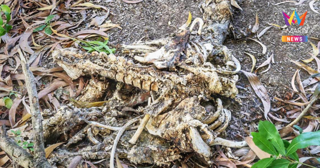 ผงะ! พบชิ้นส่วนมนุษย์ปริศนาทิ้งซอยน้ำหวาน หลังวัดคุณหญิงส้มจีน