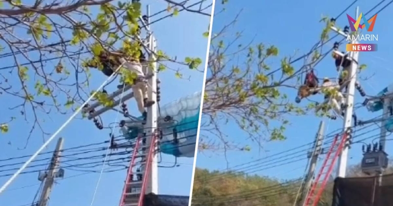 ด่วน นักกีฬาร่มบินร่อนลงพลาดไปติดยอดเสาไฟฟ้าแรงสูง ทำไฟดับทั้งเกาะล้าน